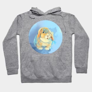 Winter Fluff - Bunny Rabbit Digital Painting Hoodie